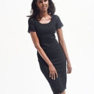 NWT Dressbarn Black Midi Lace Overlay‎ Cocktail Evening Dress Women’s 8 NEW